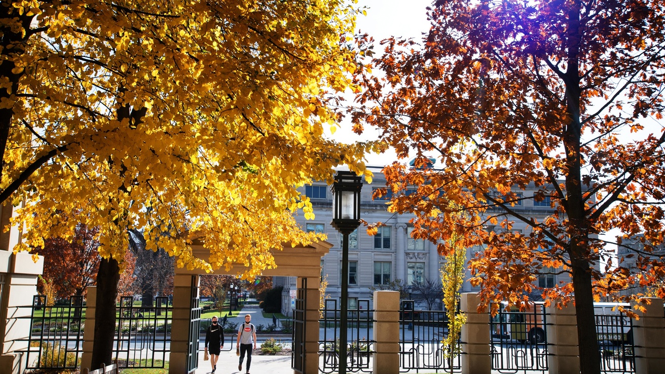 Fall at Tippie